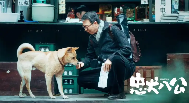 在国外如何收看国内电视