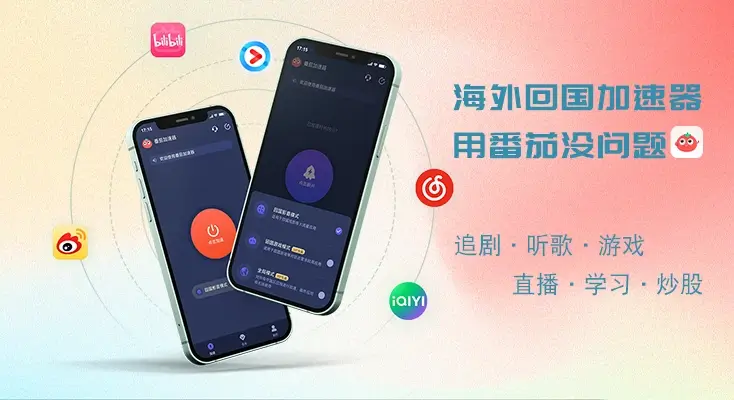 归雁加速器vpn